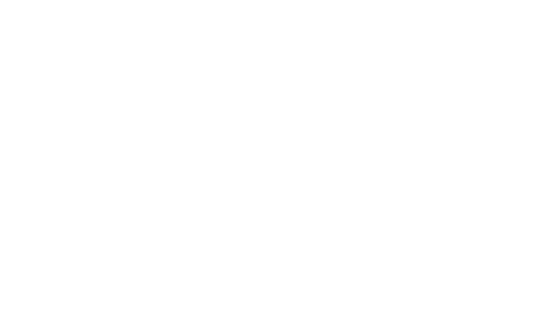 digipay